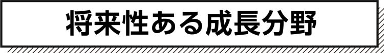 将来性ある成長分野